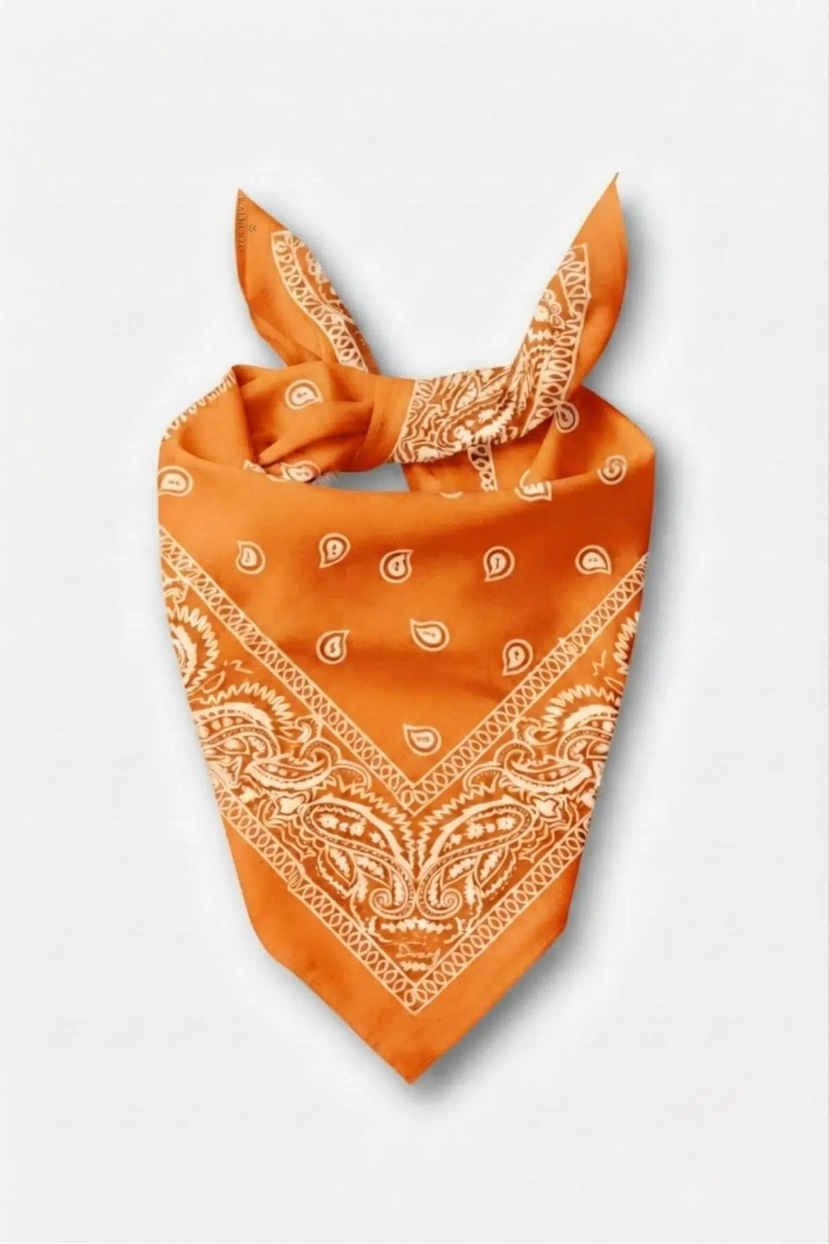 Walkenzo Paisley Desen %100 Pamuklu Çok Amaçlı Bandana Fular
